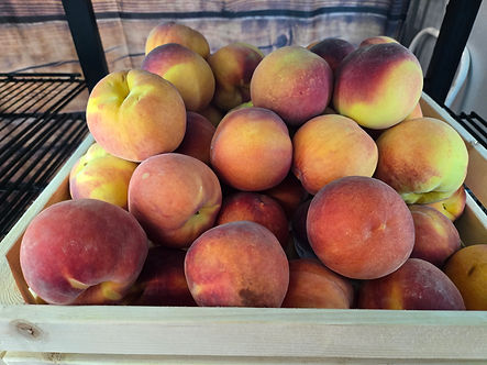 Picture of fresh peaches
