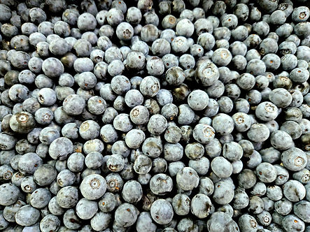 Picture of fresh blueberries
