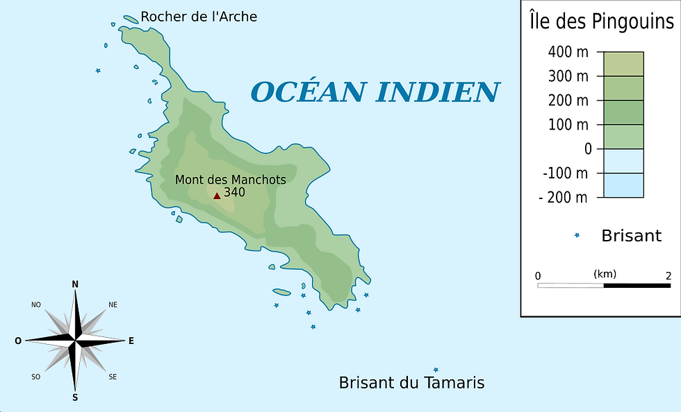 Ile des Pingouins