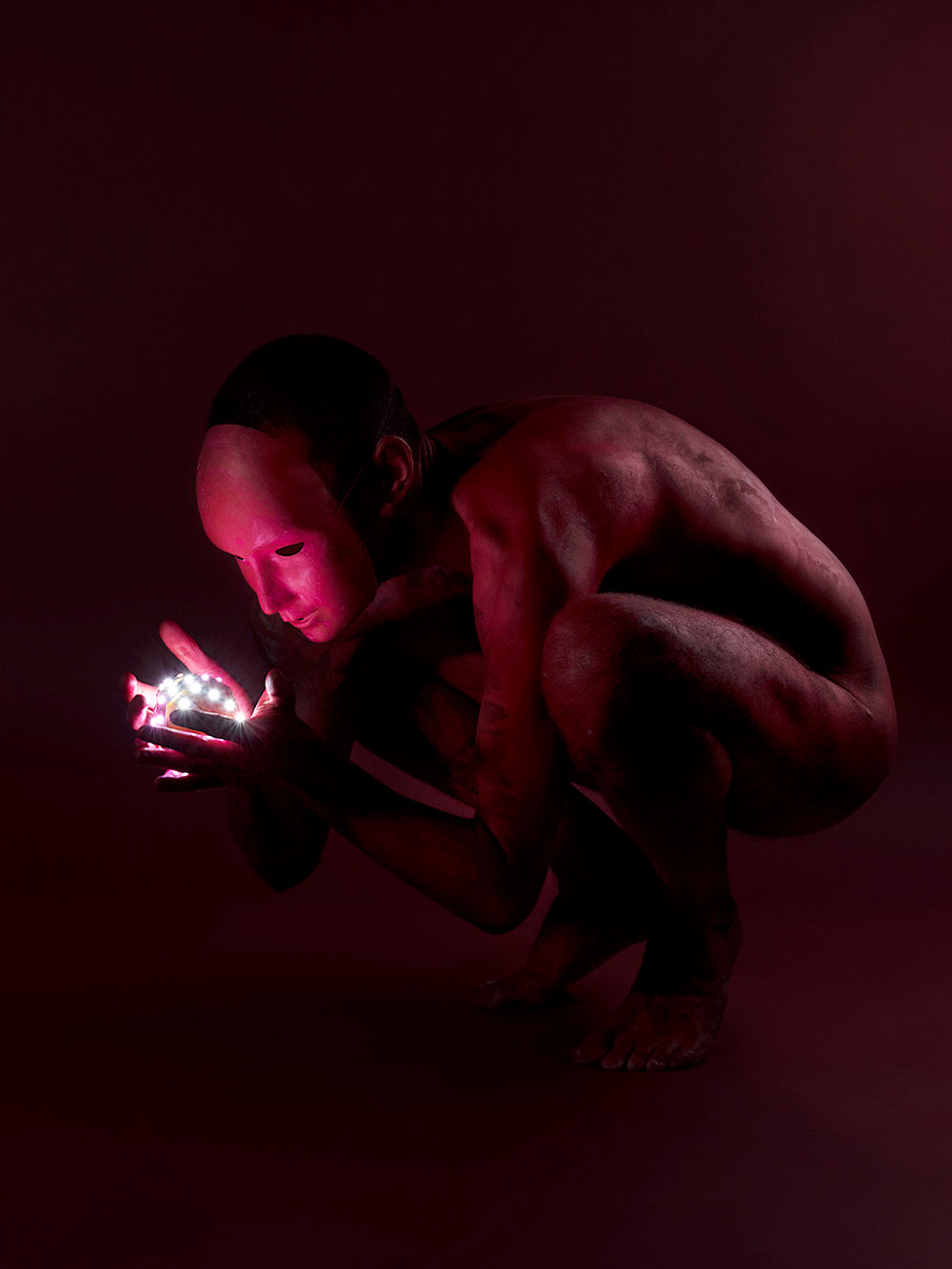 Psylocibe cubensis 2