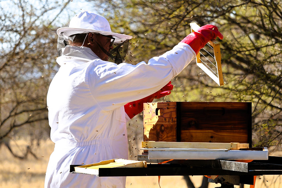 Bee Farming