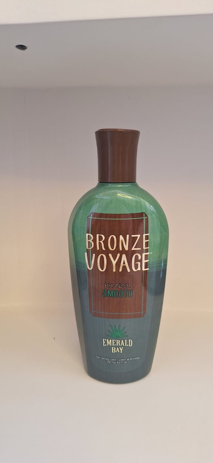 BRONZE VOYAGE