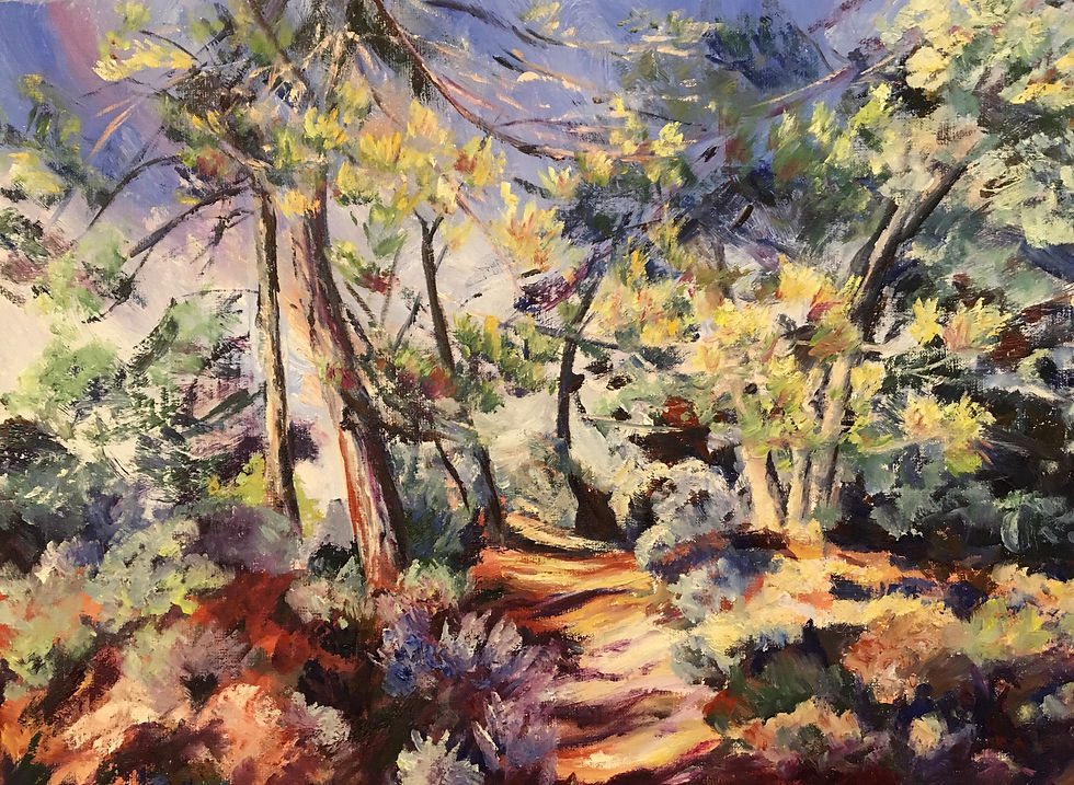 L'odeur des pins 46x61