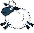 sheep.jpg