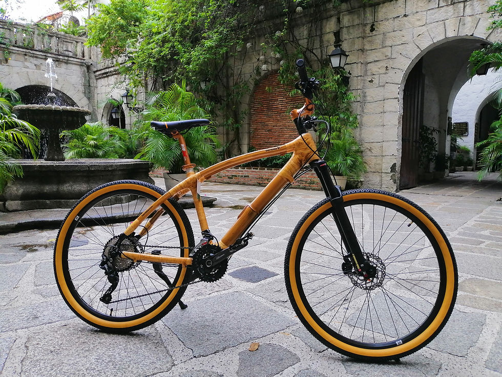 Thumbnail: Luntian 2.0 - Bike Frame