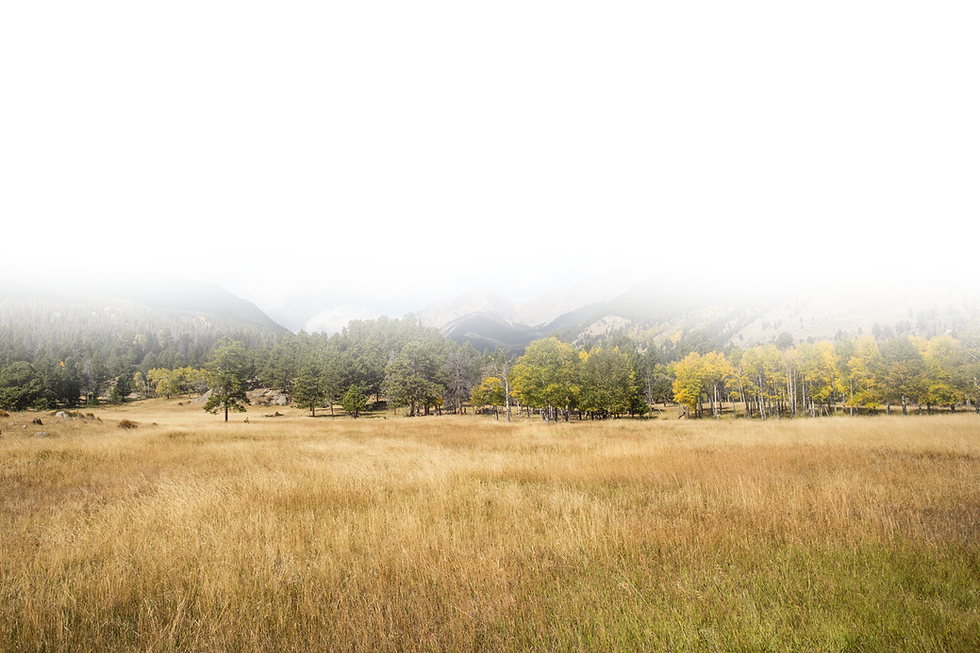 NAmericaWest_Grassland.png