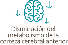 Recurso 7.png