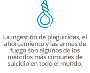 Recurso 23.png