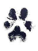 DogPrint_2048x.jpg