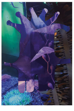 Frost Lab Tank #7