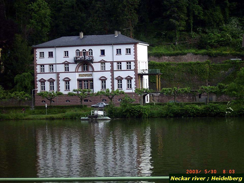 050530-016kojoh_kd.JPG