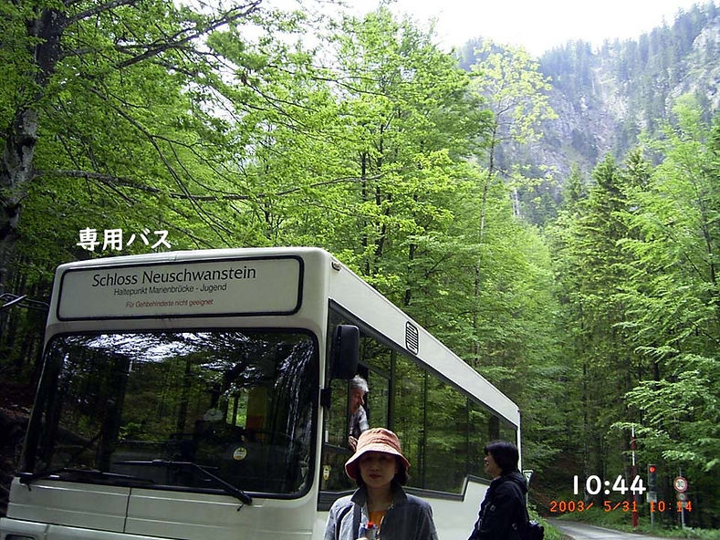050531-031NeuSwan.JPG