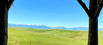 Screen Shot 2022-07-12 at 8.12_edited.jpg