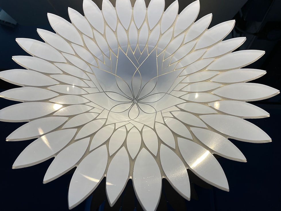 Thumbnail: Winter's Bloom