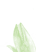 Friperie.png