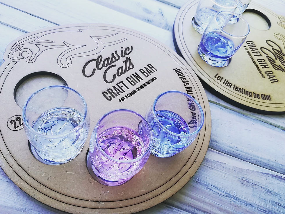 gin tasting in stellenbosch