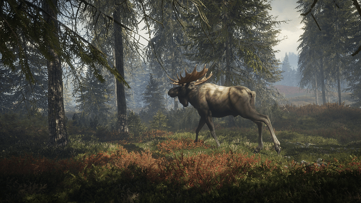 theHunter Call of the Wild - Animal AI Video Game Designer Article theHunter Call of the Wild - Animal AI Video Game Designer Article