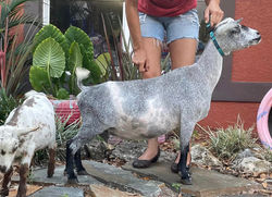 339284110_200211052744401_7901919418182756274_n