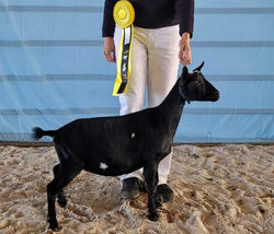 481246936_1065354718728822_3438515122188187076_n