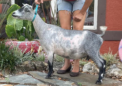 481016281_1058489866081974_4780770642892283082_n