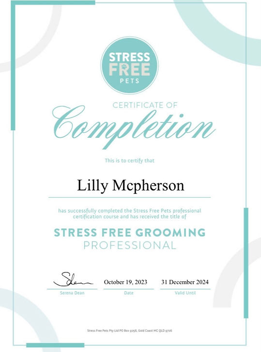Stress-Free Salon