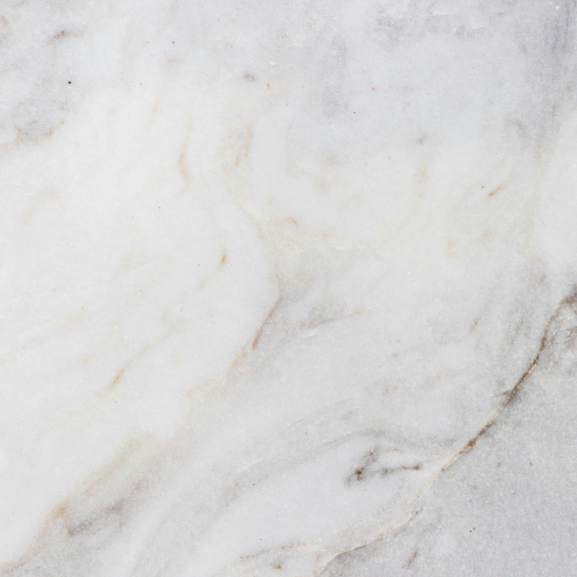 Bianco Michelangelo