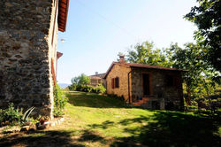 Fattoria Fattoria Poggio di Dante 