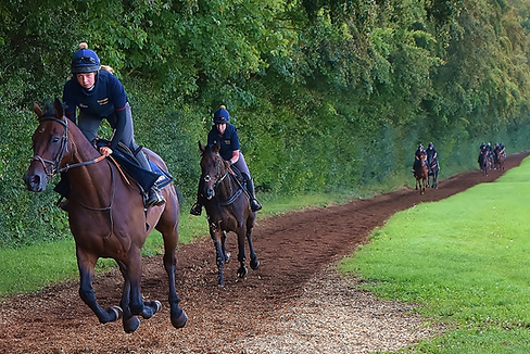 the-gallops.png