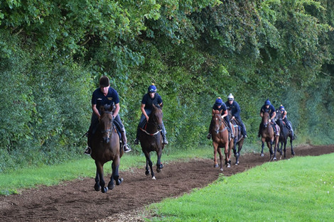 Gallery | Chris Gordon Racing