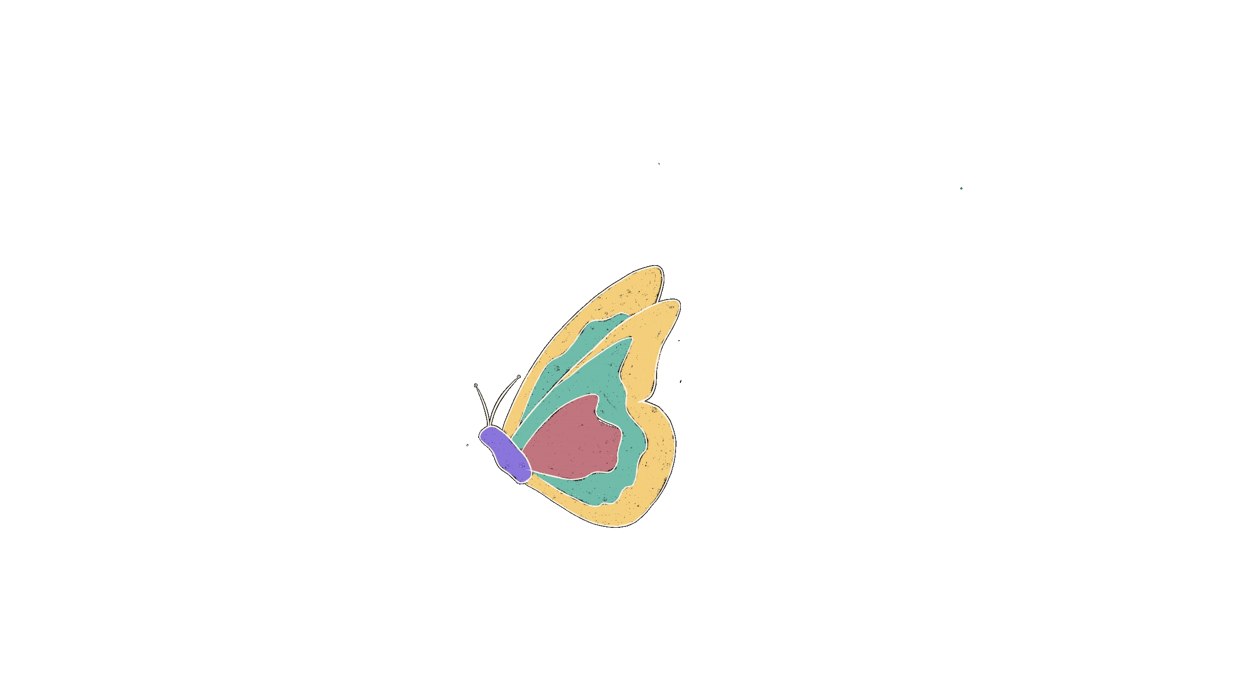 Butterfly_.gif