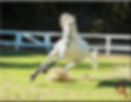 Thumbnail: Jocoso Booking Fee