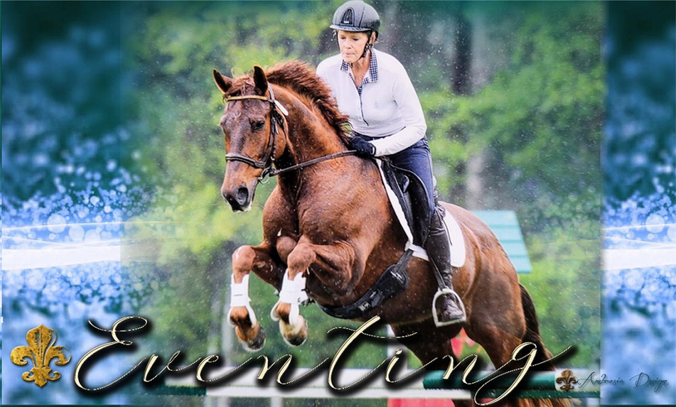 DresIber Bnr EVENT-2022m.jpg