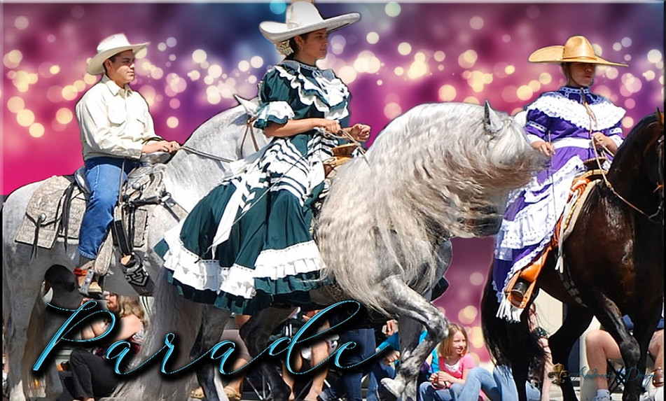 DresIber Bnr Parades-2022m.jpg