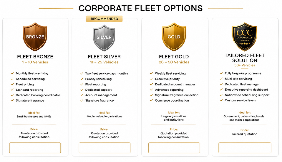Fleet - options.png