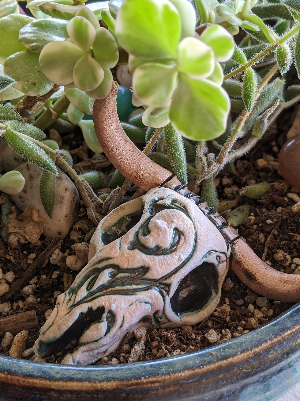 PXL_20210215_182251457