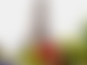 First Time Solo Travelers