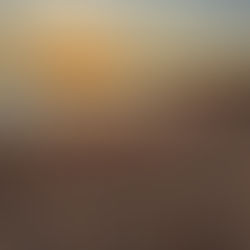 Communion With The Ancestors