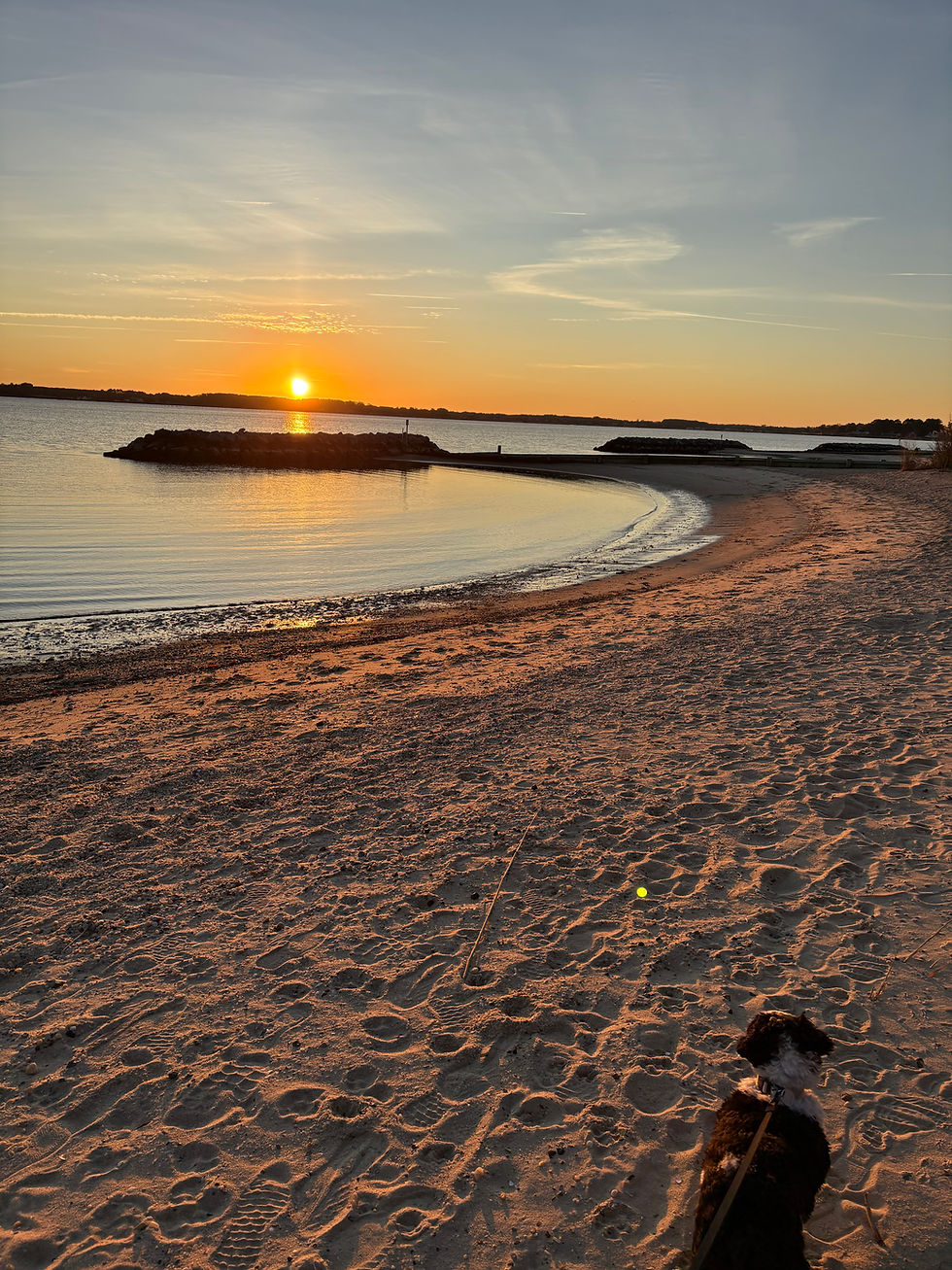 beach walk
