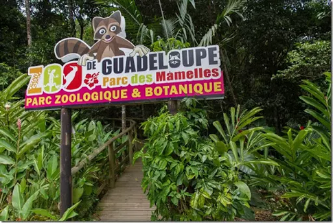Guadeloupe Zoo