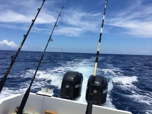 Tuna & swordfish fishing