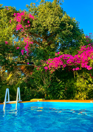 Kopie von Garden Swimming Pool.webp