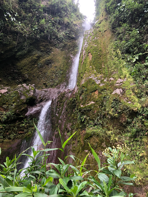 Cascade des chutes du carbet