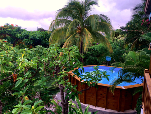 La piscine et le jardin tropicale de la location de la villa Deshaies en Guadeloupe
