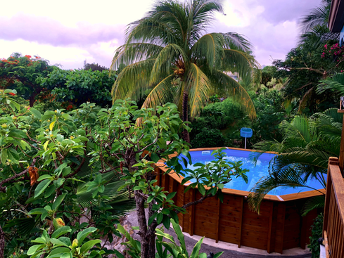 La piscine et le jardin tropicale de la location de la villa Deshaies en Guadeloupe