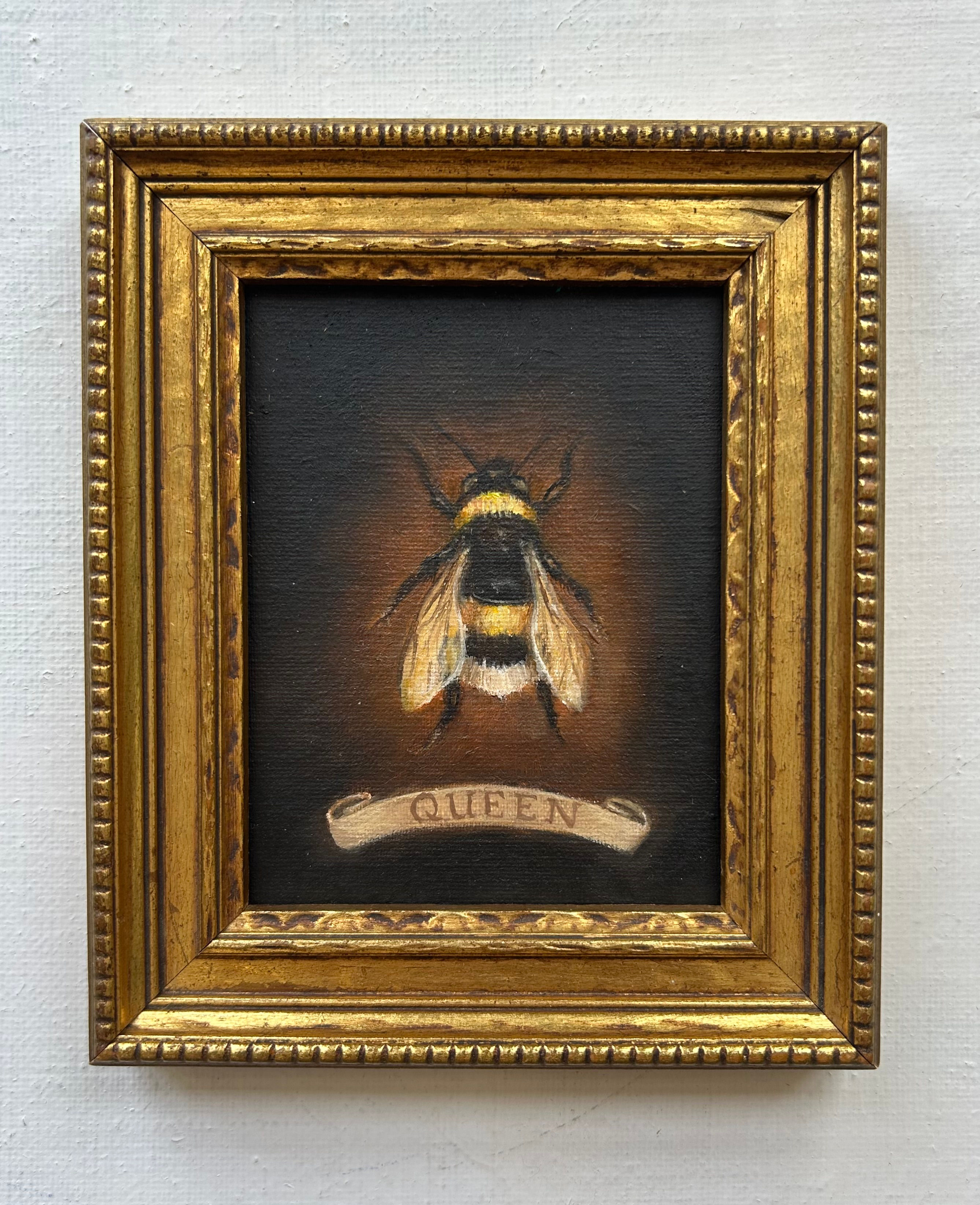 Queen, Bombus hortorum