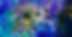 received_3423645440997376.jpeg
