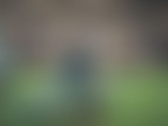 Players to watch: Week 2 Edition