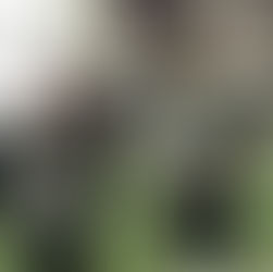 Mock Draft Friday: 6 Days Till Draft!