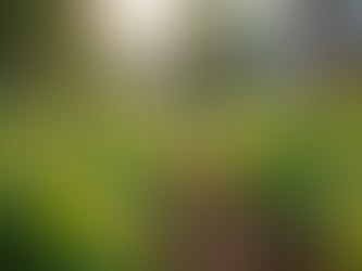 Impact Investing: Enhancing Lives Through Strategic Choices