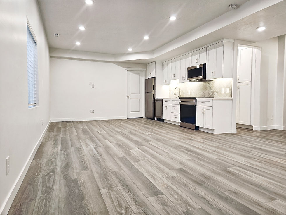 Finished Basement and Kitchenette Herriman Utah